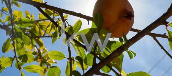 5 bedrooms Land in Porches, Portugal No. 130862 4