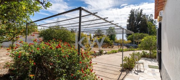 5 bedrooms Land in Porches, Portugal No. 130862 8