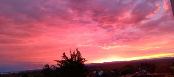 3 غرف نوم شقة في Karlsruhe, Germany رقم 270852 3