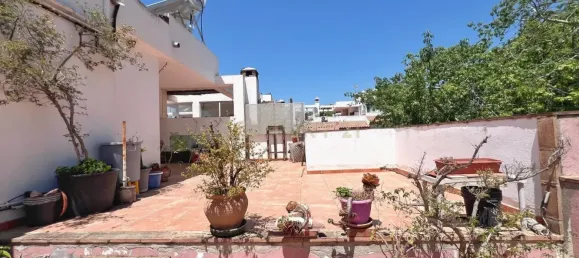  عقار تجاري في Estepona, Spain 413متر مربع رقم 169066 23