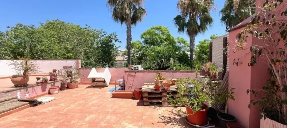  عقار تجاري في Estepona, Spain 413متر مربع رقم 169066 25