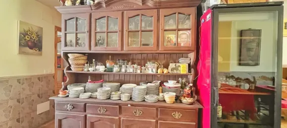  عقار تجاري في Estepona, Spain 413متر مربع رقم 169066 5