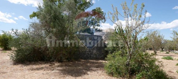 1 bedroom House in Ostuni, Italy No. 284193 12