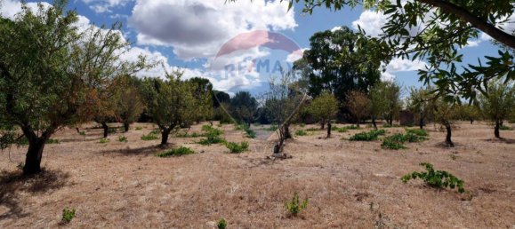 1 bedroom House in Ostuni, Italy No. 284193 2