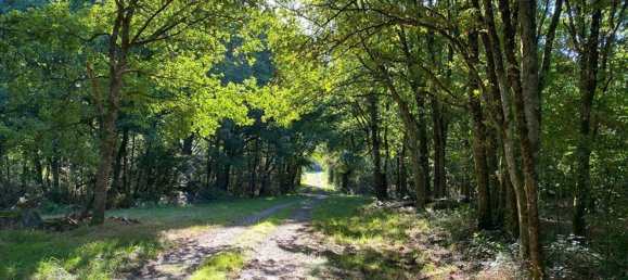 Casa T3 em Salbris, France N.º 85302 4