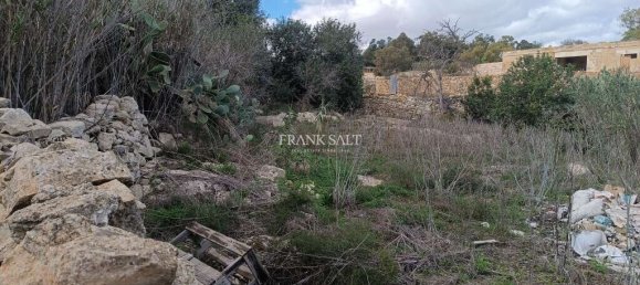 2 غرف نوم مزرعة في Birzebbuga, Malta رقم 2061 3