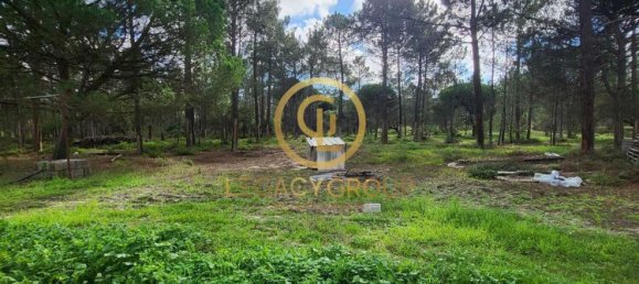 115000m² Land in Sines, Portugal No. 88452 4