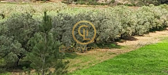 115000m² Land in Sines, Portugal No. 88452 17