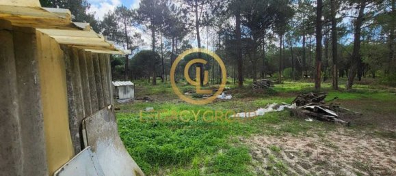 115000m² Land in Sines, Portugal No. 88452 3