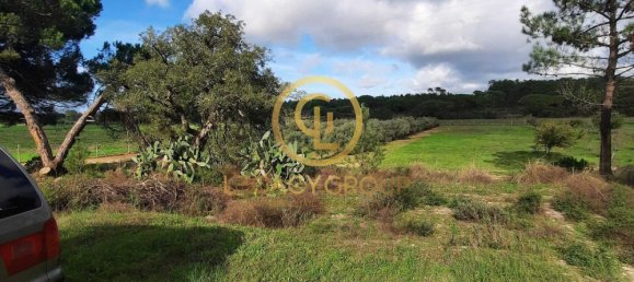 115000m² Land in Sines, Portugal No. 88452 18