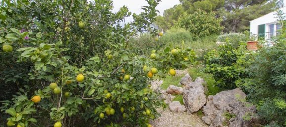 3 bedrooms Villa in Sant Lluis, Spain No. 5012 19