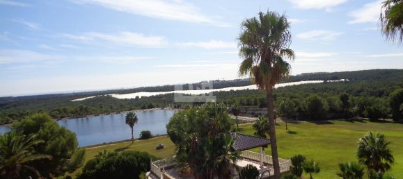 Casa de 17 dormitorios en Torrevieja, Spain No. 95374 16