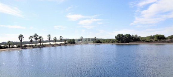 Casa de 17 dormitorios en Torrevieja, Spain No. 95374 11