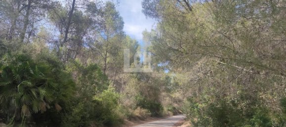 Casa de 17 dormitorios en Torrevieja, Spain No. 95374 27