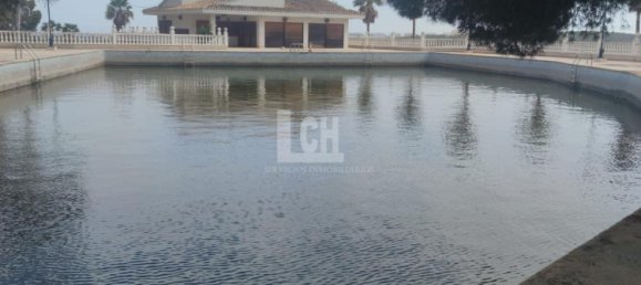 Casa de 17 dormitorios en Torrevieja, Spain No. 95374 30