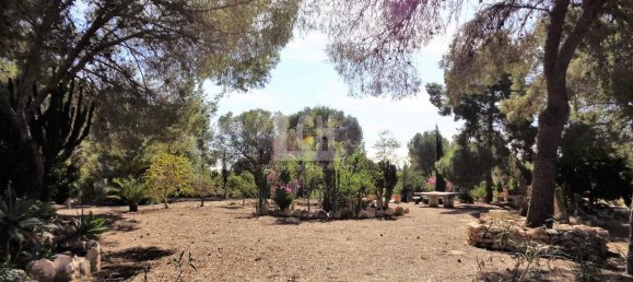 Casa de 17 dormitorios en Torrevieja, Spain No. 95374 24