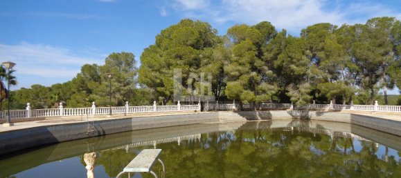 Casa de 17 dormitorios en Torrevieja, Spain No. 95374 4