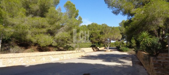 Casa de 17 dormitorios en Torrevieja, Spain No. 95374 26