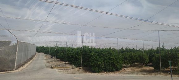 Casa de 17 dormitorios en Torrevieja, Spain No. 95374 28