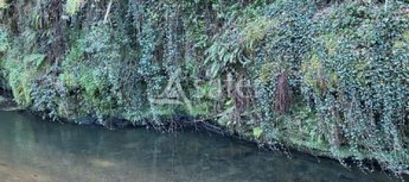 4 bedrooms House in Tarn, France No. 304058 7