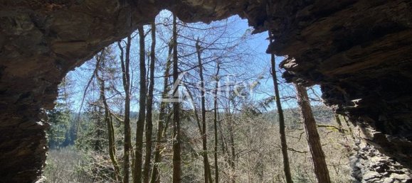 4 bedrooms House in Tarn, France No. 304058 8