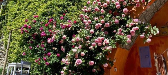 7 bedrooms House in Canelli, Italy No. 330689 23