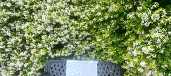 7 bedrooms House in Canelli, Italy No. 330689 30