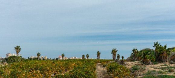 2 Schlafzimmer Villa in Torrevieja, Spain, Nr. 176504 43