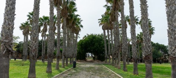 2 Schlafzimmer Villa in Torrevieja, Spain, Nr. 176504 55