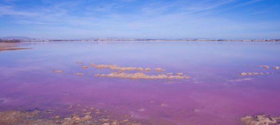 2 Schlafzimmer Villa in Torrevieja, Spain, Nr. 176504 40