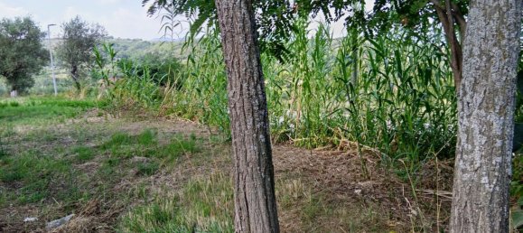 4 bedrooms House in Melizzano, Italy No. 315799 3