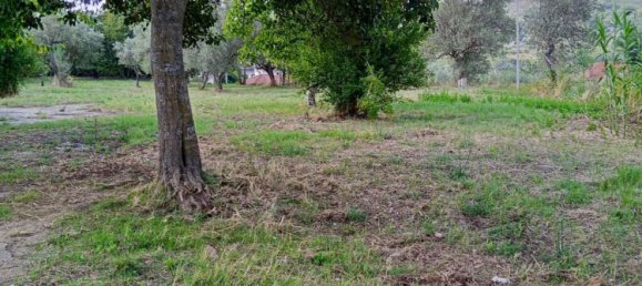 4 bedrooms House in Melizzano, Italy No. 315799 4