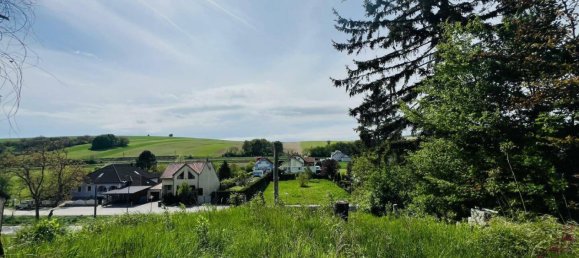 Terrain à Kreuttal, Austria 1149m² No. 238849 4