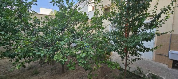 1غرفة عقار تجاري في Mesagne, Italy رقم 171805 15