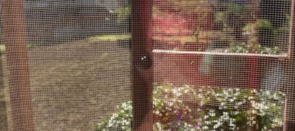 Villa de 8 habitaciónes en San Nicola la Strada, Italy No. 65097 5