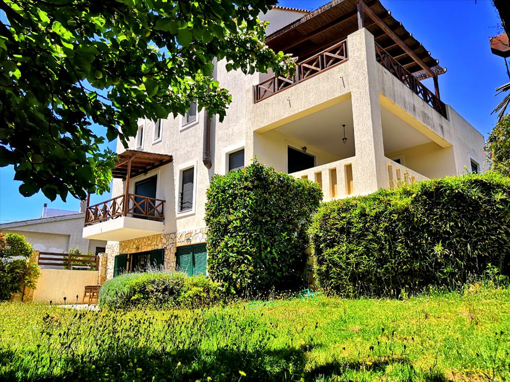 5 chambres propriété commerciale à vendre à Artemida, Spata-Artemida, East Attica, Attica, Greece № 4877