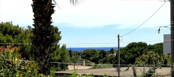 5 chambres propriété commerciale à vendre à Artemida, Spata-Artemida, East Attica, Attica, Greece № 4877 16