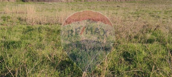 10000m² Land in Caltagirone, Italy No. 144356 4