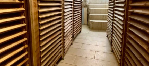 Studio in Bonifacio, France No. 224627 7