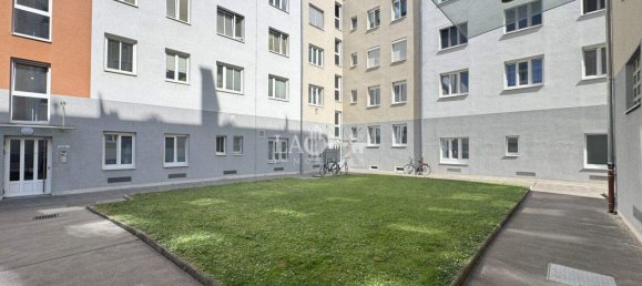 3-Zimmer Wohnung in Wien, Austria, Nr. 252060 2