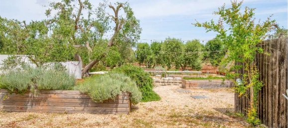 5 chambres Villa à Ceglie Messapica, Italy No. 123554 16