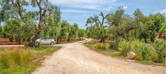 5 chambres Villa à Ceglie Messapica, Italy No. 123554 15