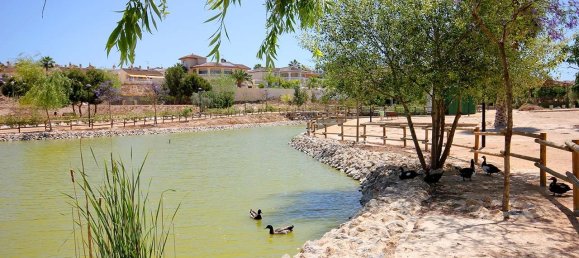 Villa T3 em Benijofar, Spain N.º 16635 7