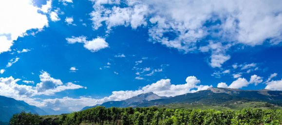 900m² Land in Saviese, Switzerland No. 317 2