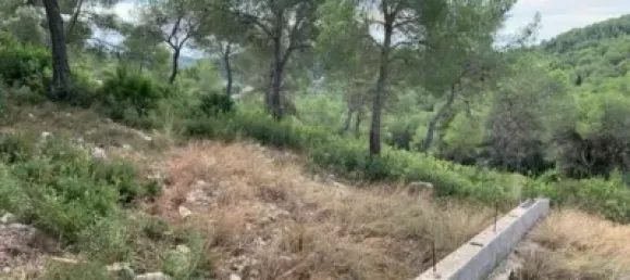  Land in Castellet i la Gornal, Spain No. 85029 4