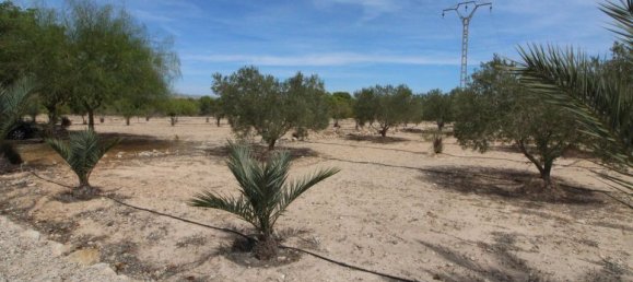 Grundstück in Alicante, Spain, Nr. 189120 5