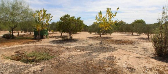 Grundstück in Alicante, Spain, Nr. 189120 18