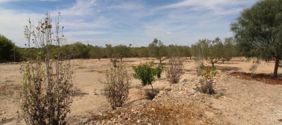 Grundstück in Alicante, Spain, Nr. 189120 15