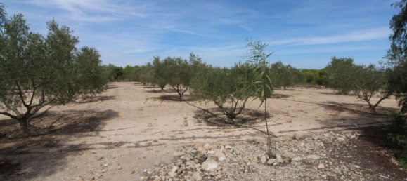 Grundstück in Alicante, Spain, Nr. 189120 12