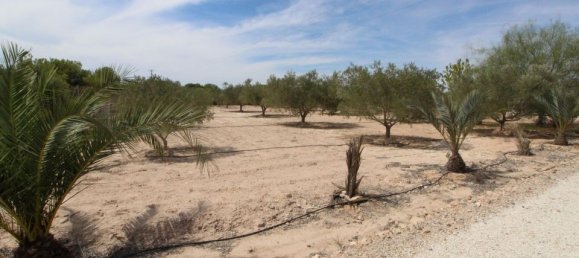 Grundstück in Alicante, Spain, Nr. 189120 4